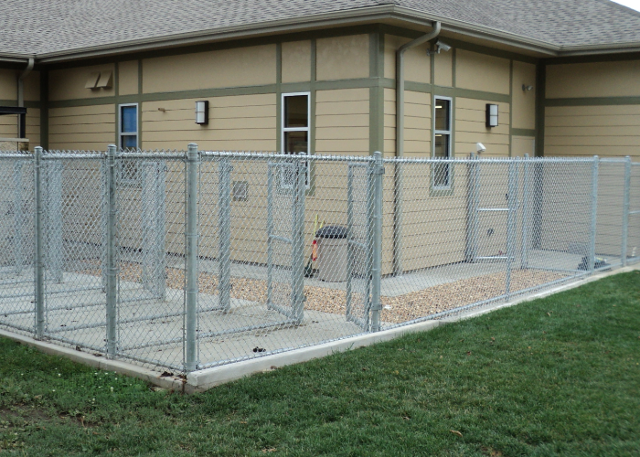Madison Pet Clinic Dog Kennels Chain Link Fence